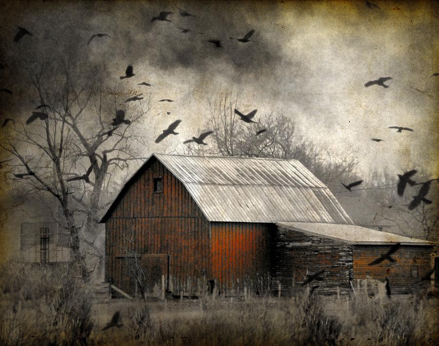 PLOT OF THE WEST Red-barn-photo-art-gothic-and-crows-art-photography